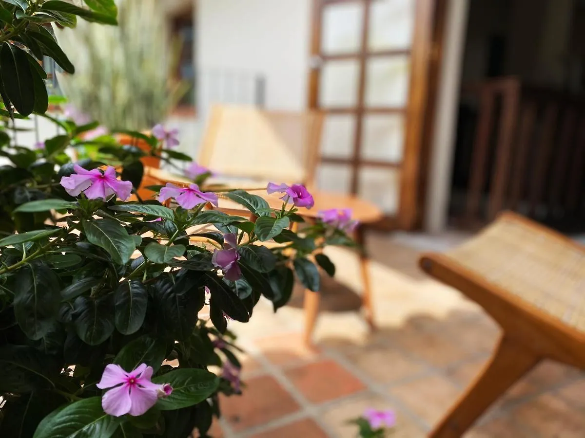 Casa Ritual Hotel Puerto Vallarta